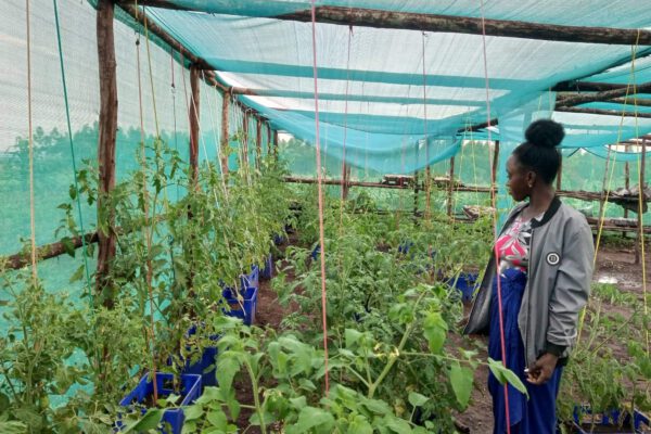 hoffnung-fuer-uganda-shadehouse_4