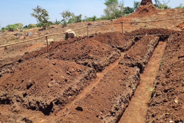 002 excavate
