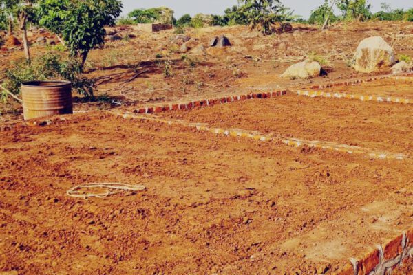 021 backfill