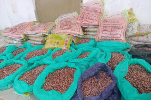 FoodSecurity Seeds