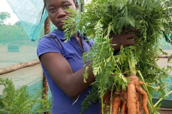 FoodSecurity harvest